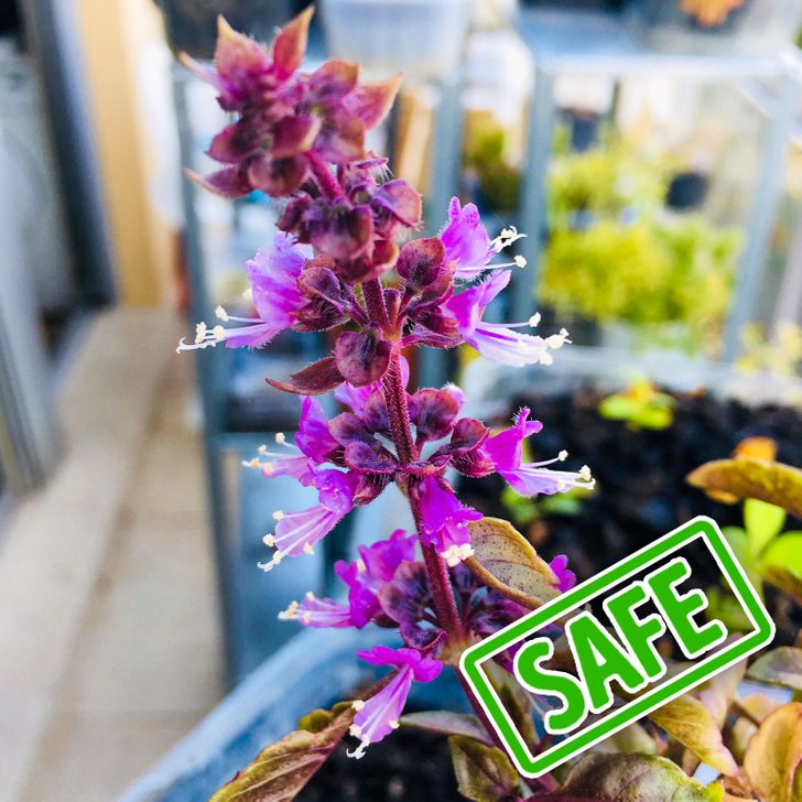 a1e2f25cfb8c163326a81b6802