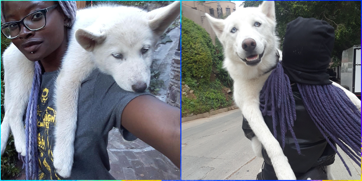 a1e31655e5896463321cf1223e