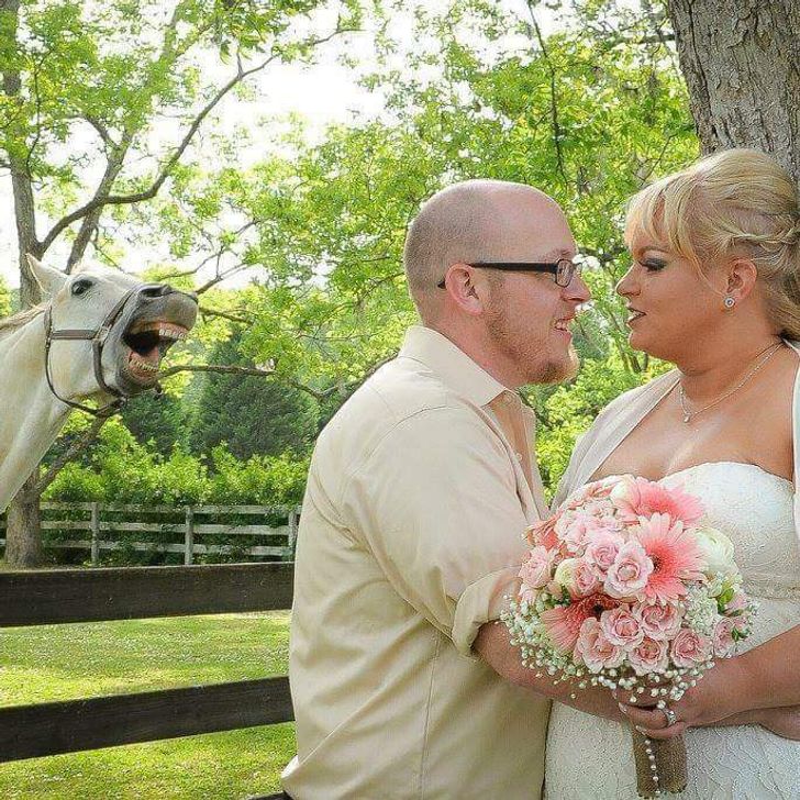 a1e4b9555b8bd29ef3816a08e3