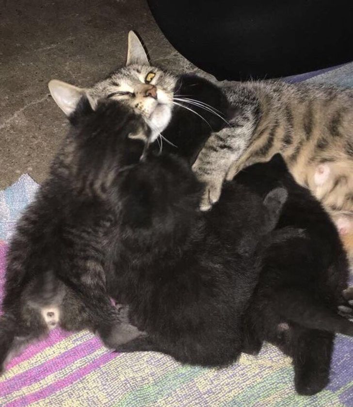 a1e8295107bea3153e19f32604