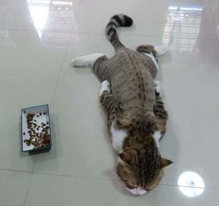 a1ea285f75a61a5efdf48a6123