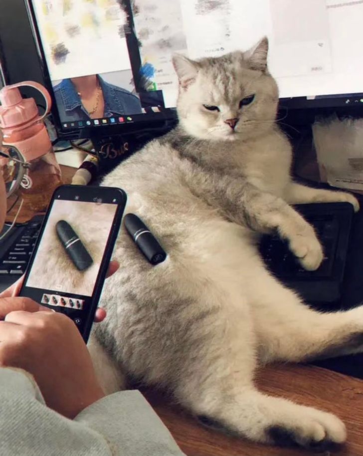 a1f1715f6b9117c048105efc26