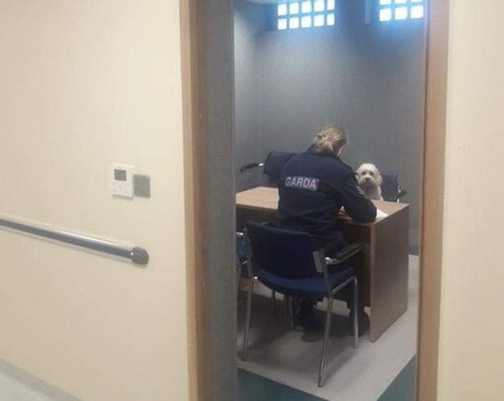 a1f38c5f26bebccc851f0628f2