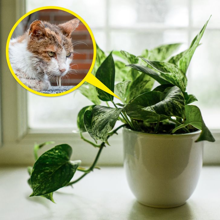 a1f9395ae3927f0b6f9f209cee