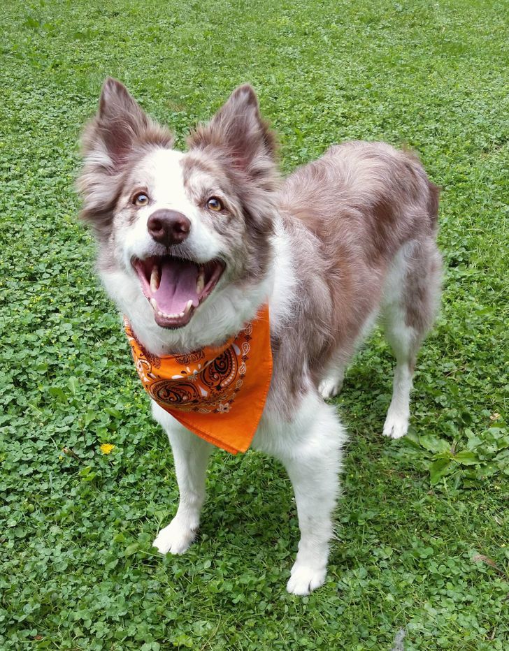 a1f98e5dfe9f07b3d83ab93e86