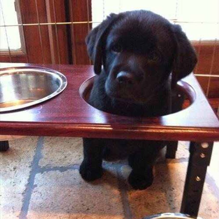 a1f995554f81aa231fdcbd30b6