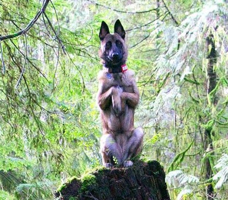 a2070c5f90882a702c148fff3b