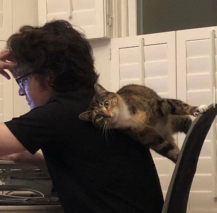 a20c4a54fb9f4af6a25b896292