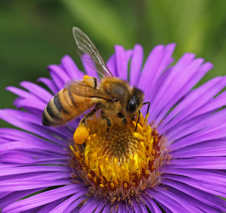 a20fa95da68a915c3af416e127