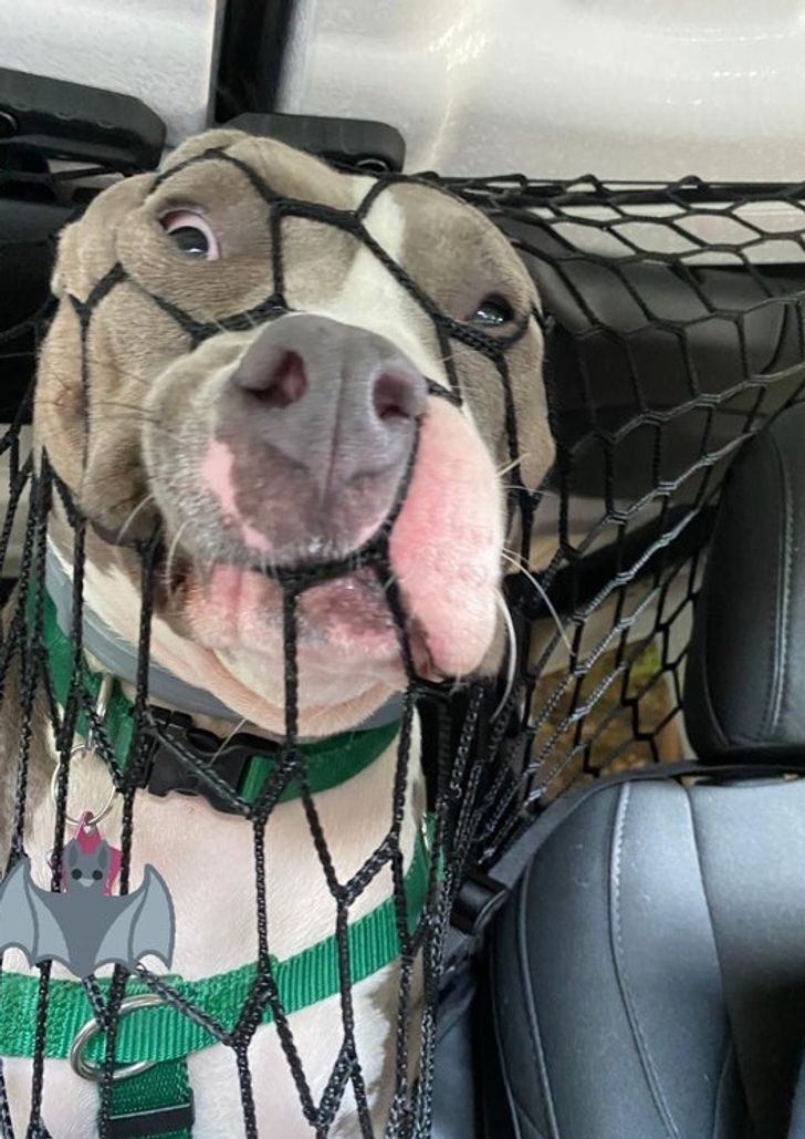 a218425d9d94a6cd277abf41d8