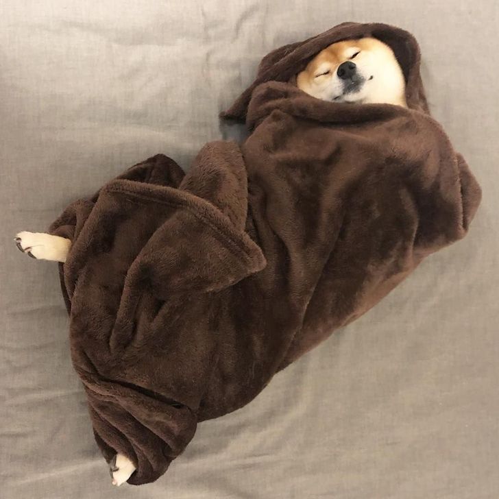 a223b95edfb34788c8f7714142