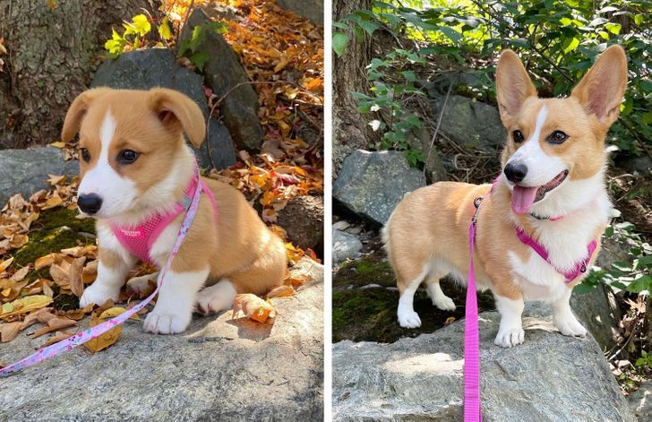 a228e953e48f6d200c3859e8b0