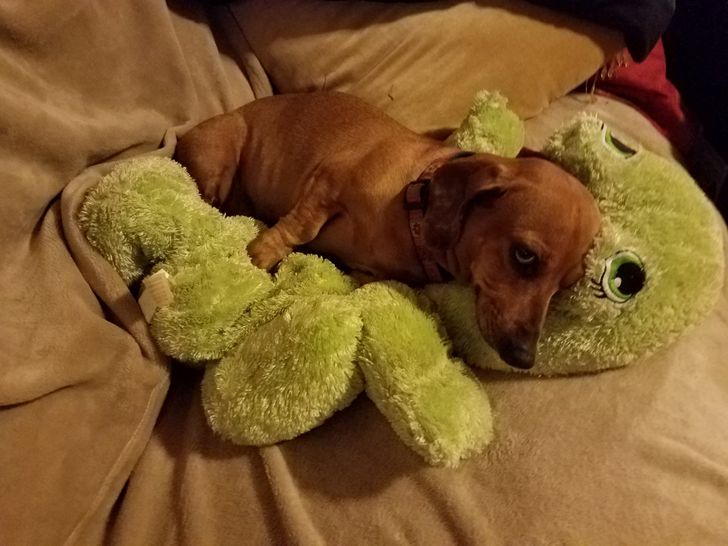 a22d3a5154a4825ad99c876b12