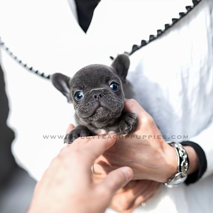 a22ea15c6cab1a88baa348d100