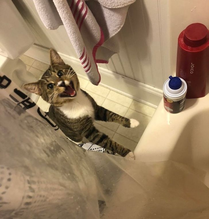 a243745be4901d40f01e3189e5