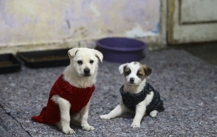 a2467c5efcb94baa9f91a0e520