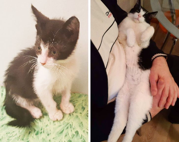 a2536a54d6a183e0f79fb5c6ab