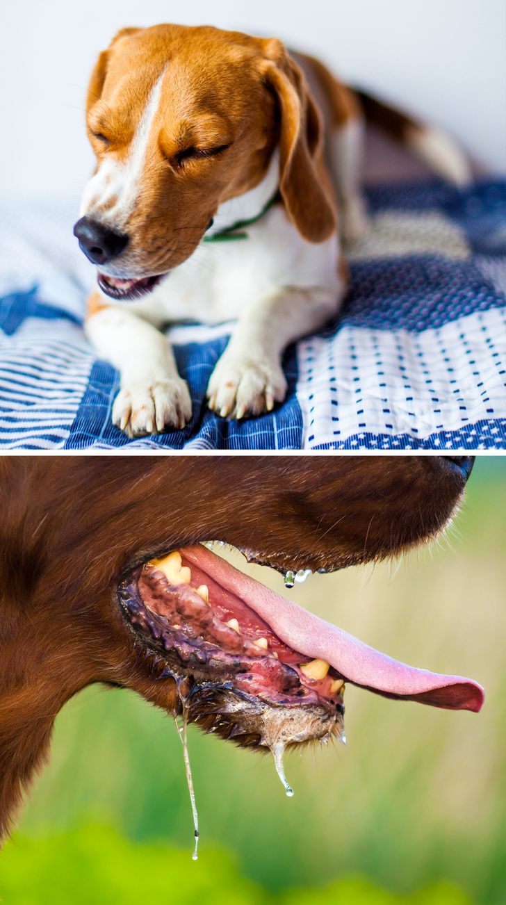 a256de508ea01c53d150b5cfb3