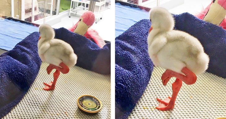 a259a3556eb91c1392fa277bb3