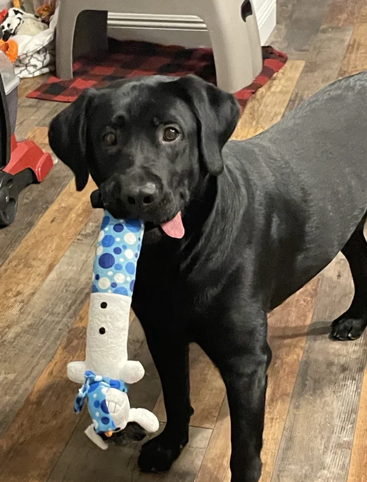 a2665a54168c523467ca94cd01