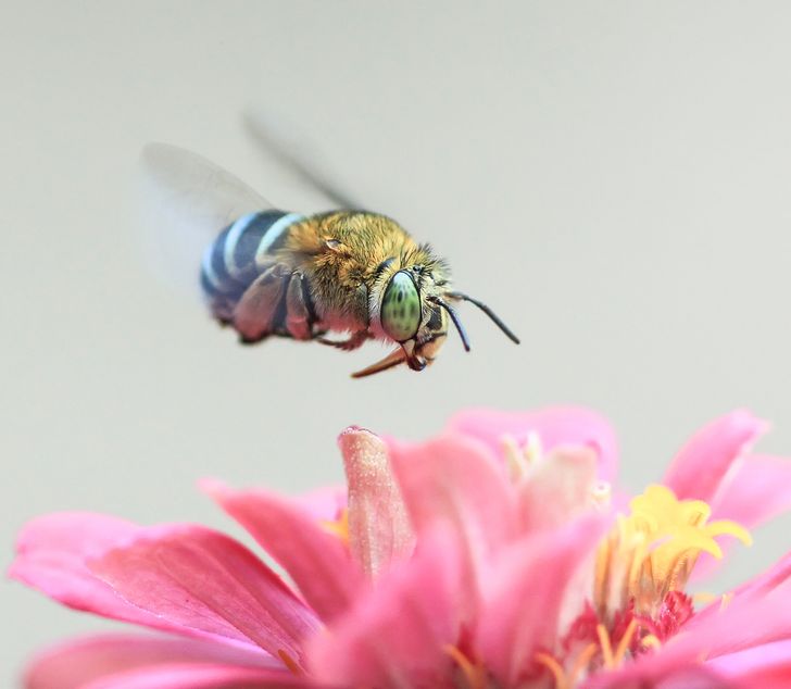 a272e455e0a29e15ef2b4bf025