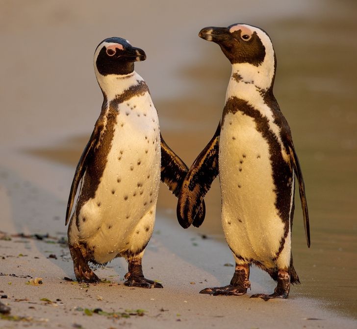 a27cb25952b2f6077eab7917a8