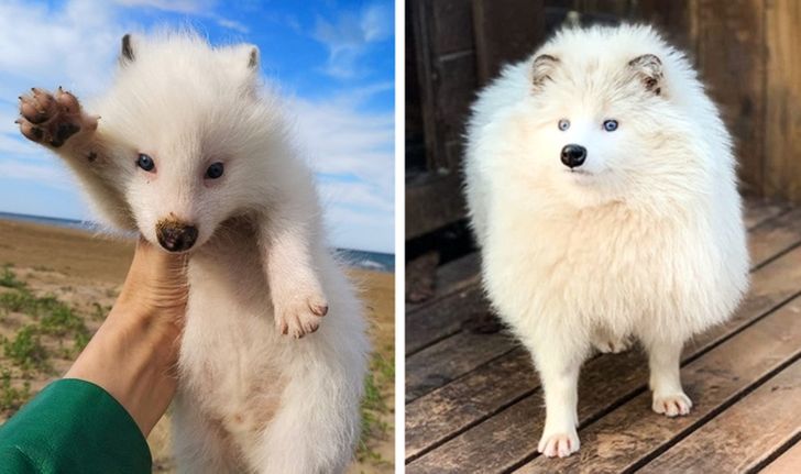 a2927952b6a9565f1bc06d2ba3