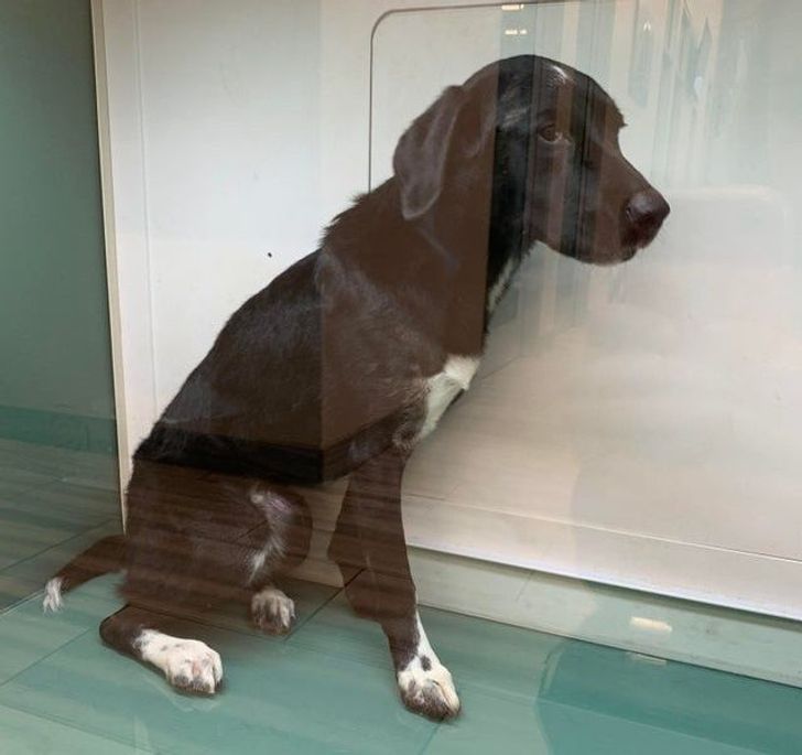 a2940c5065b9e8830eb2648009