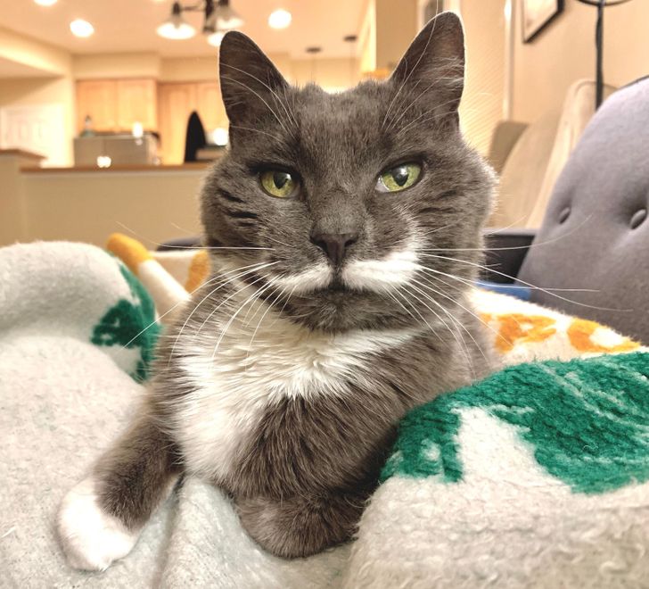 a29b535801b35b33f942897419