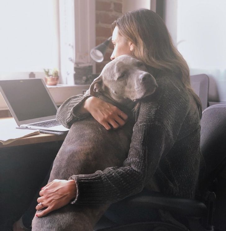 a29d2251899565b1a0ede28bc2