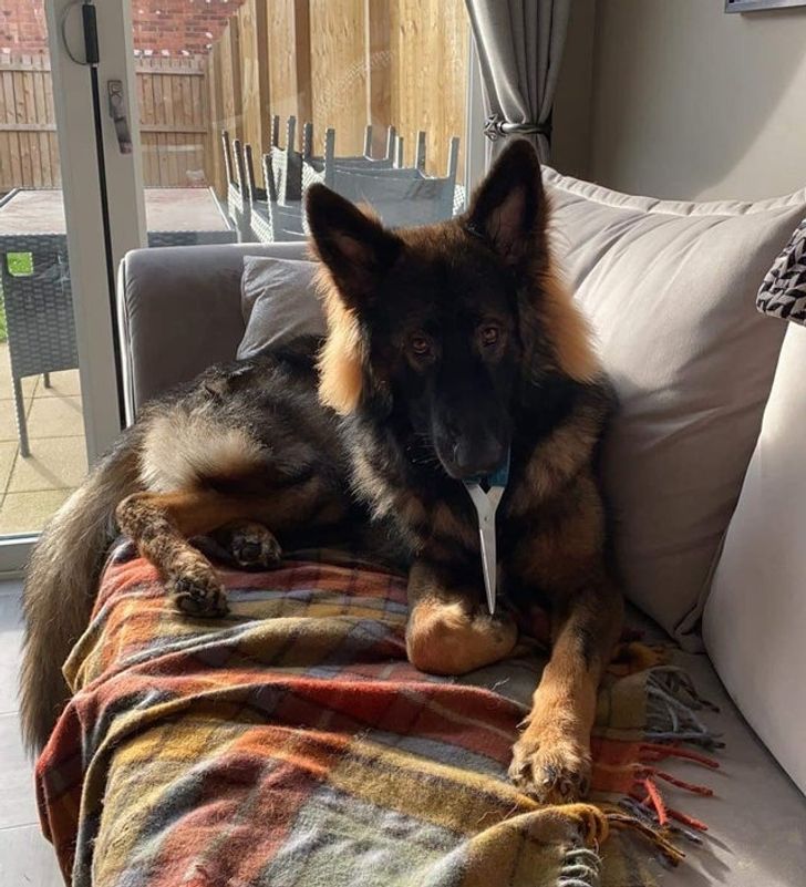 a2a0d1534d9fcd383641c77526