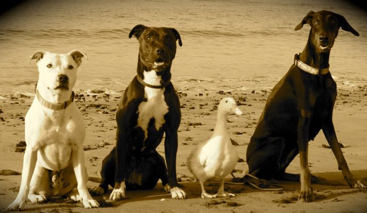 a2b7d65b1ba67e74d02145c14b