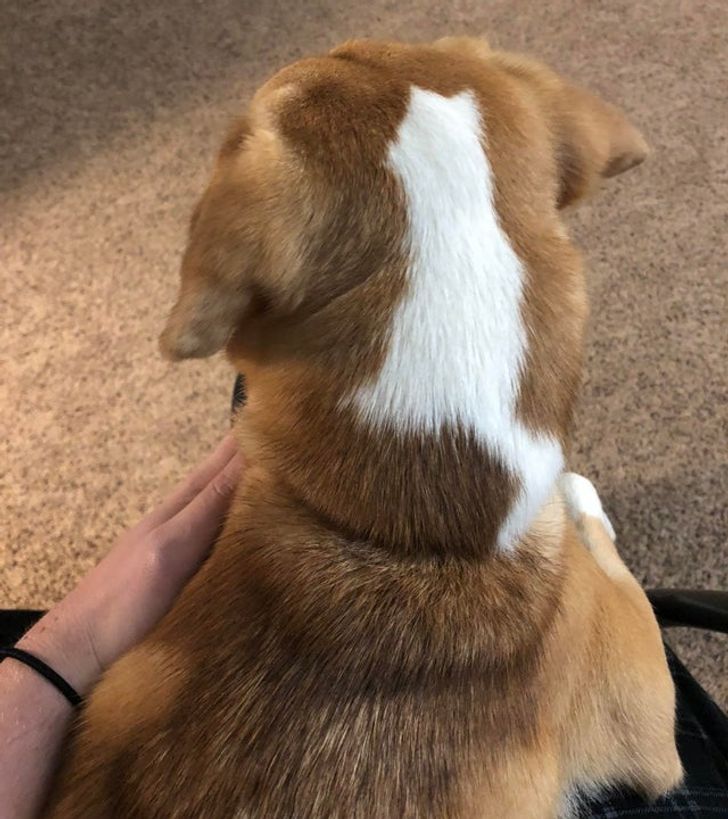 a2c22a576b876ef4d9d20623ca