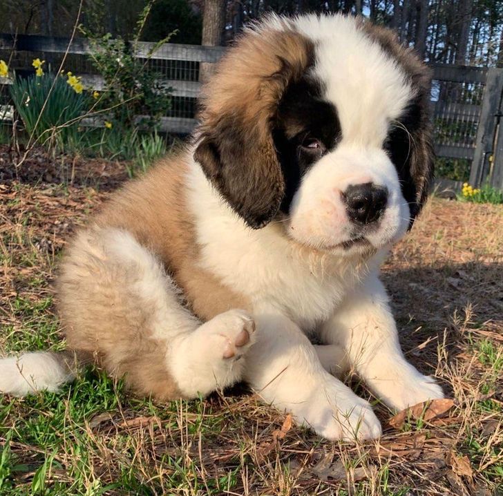 a2c2995f17b1ceb2b56be6d744