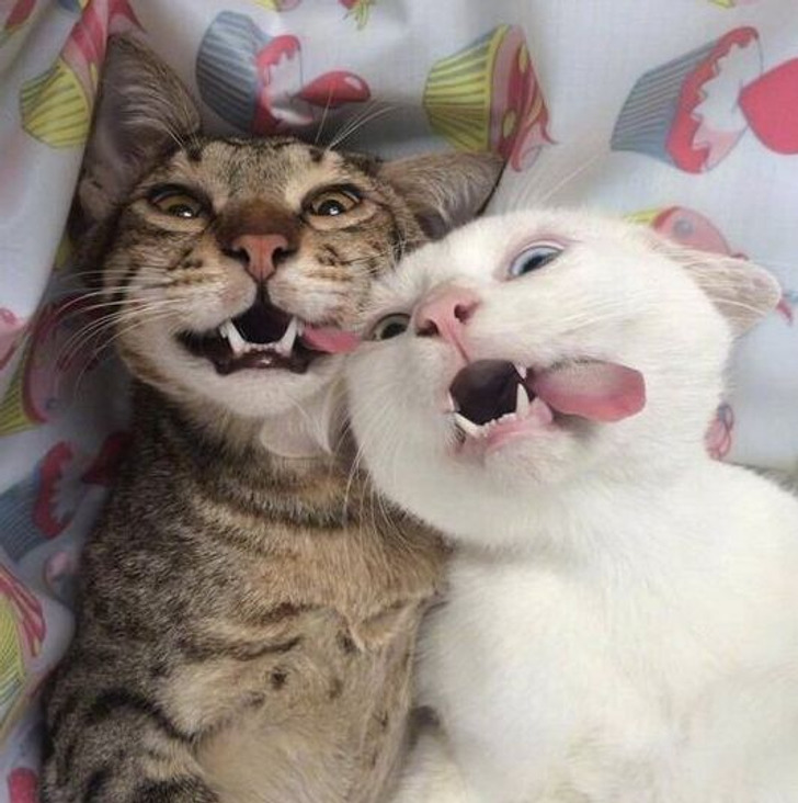 a2c8205e55925cba1cc9c8af53