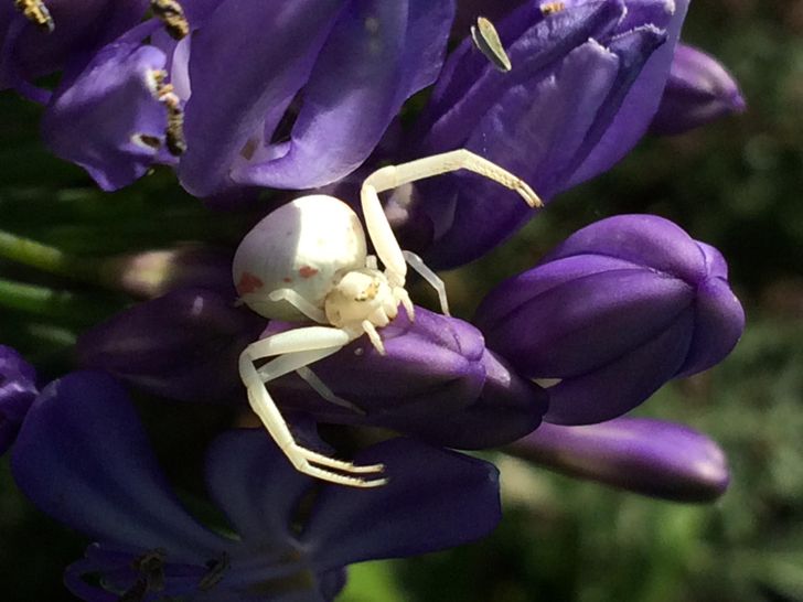 a2d54b540289c7db43a97f0e92