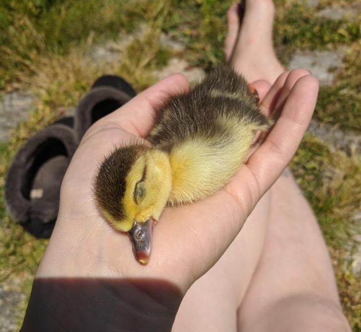 a2d63055dd878ac4033587b0a9