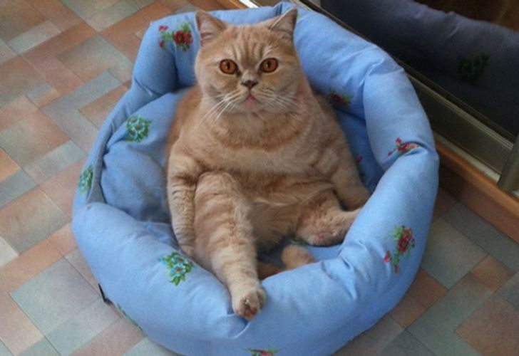 a2d69655448ec320de146504d6