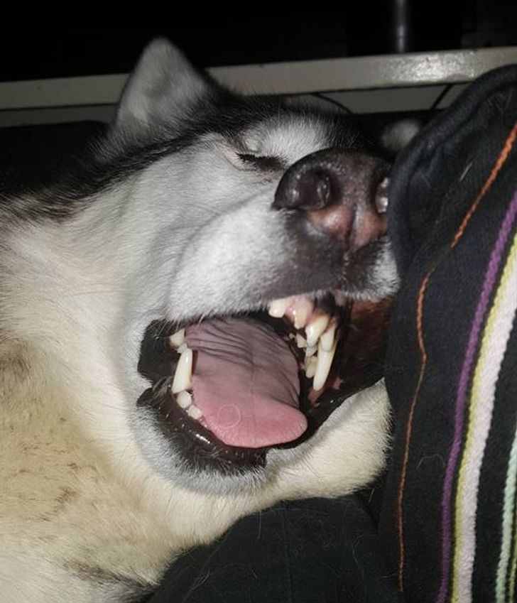 a2db1b5faaaf60305fca8552dc