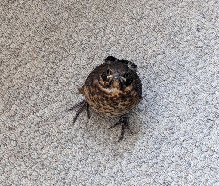 a2e2c453ad813831f2f8ab13e2