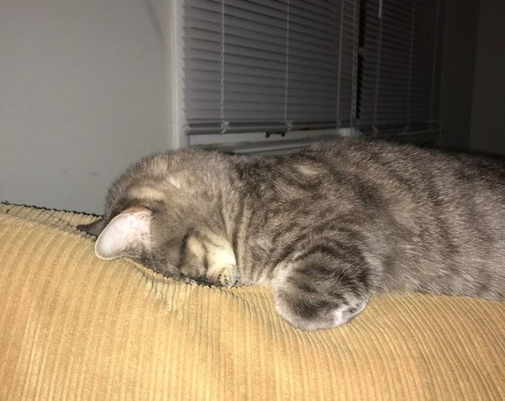 a2e5fa5b24a5aef9d3640001d0