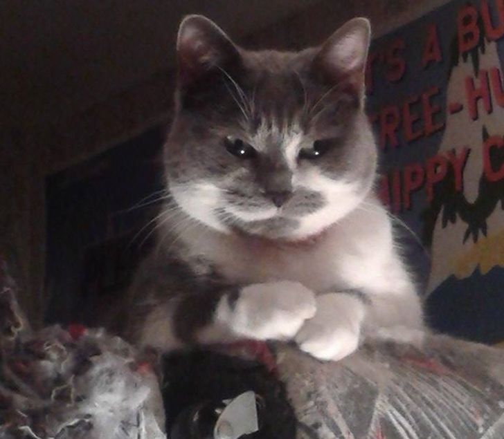 a2ec1d52d887e28308e1dd0b2c