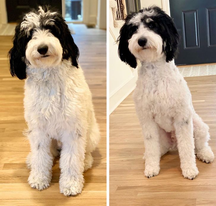 a2ecbb518dbe2ef44684bbd888 a2ecbb518dbe2ef44684bbd888