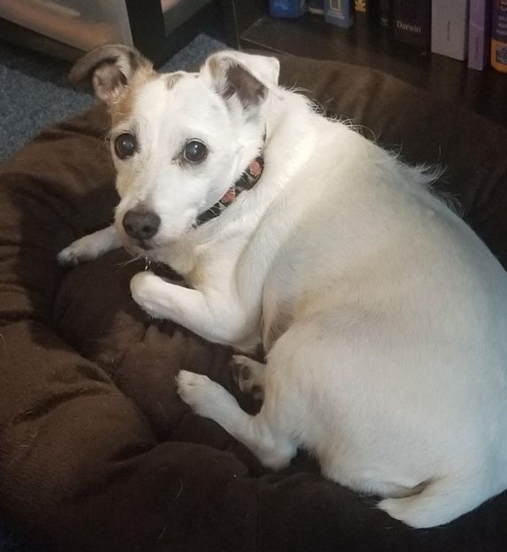 a2ee1d5a0f858420b6927f6a24