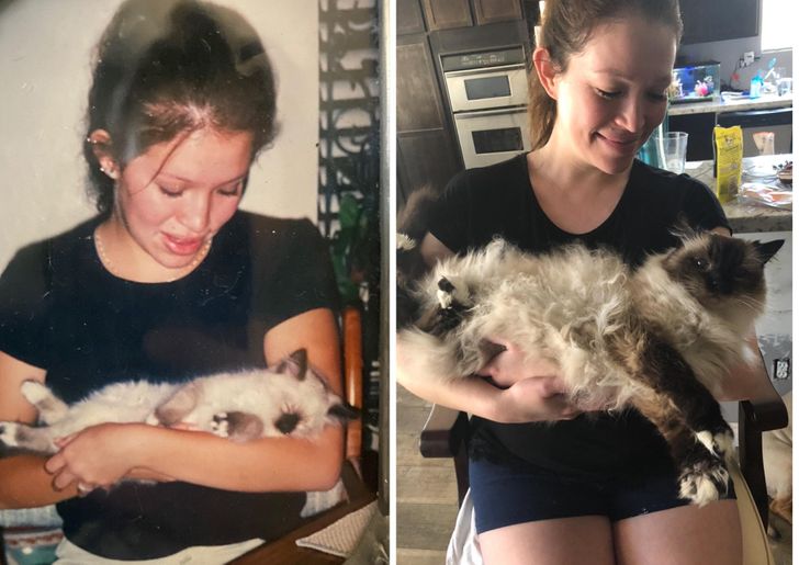 a2fb555410905c42dc00bd8796