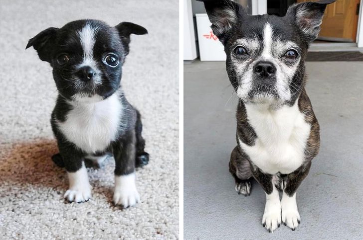 a304115c9cab1e420175217bdc