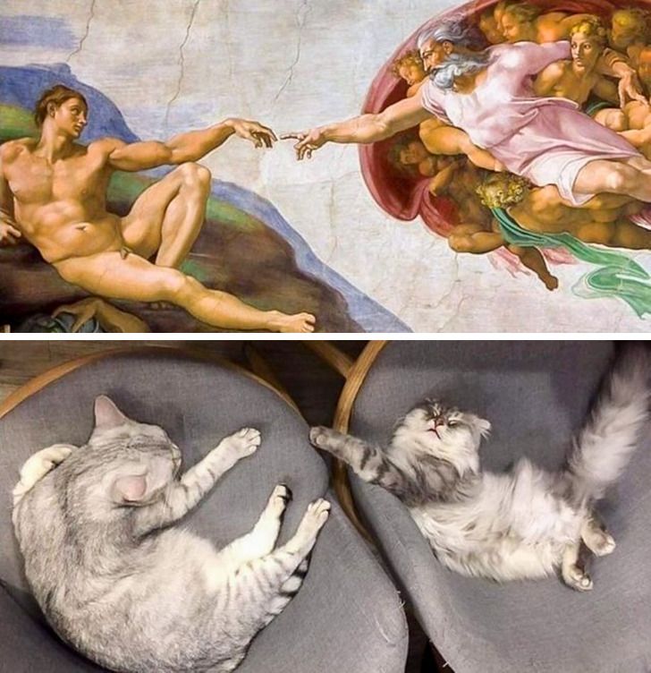 a3093a50499ea64469fd89fde1