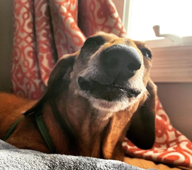 a30a50552d9d3b9b6538501e7d