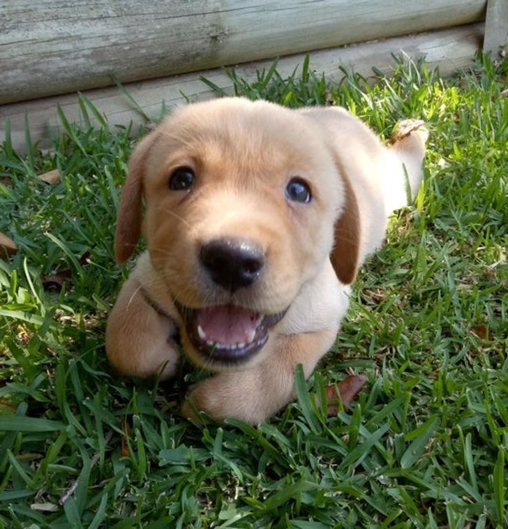 a30bc95065998705b8e97f3665