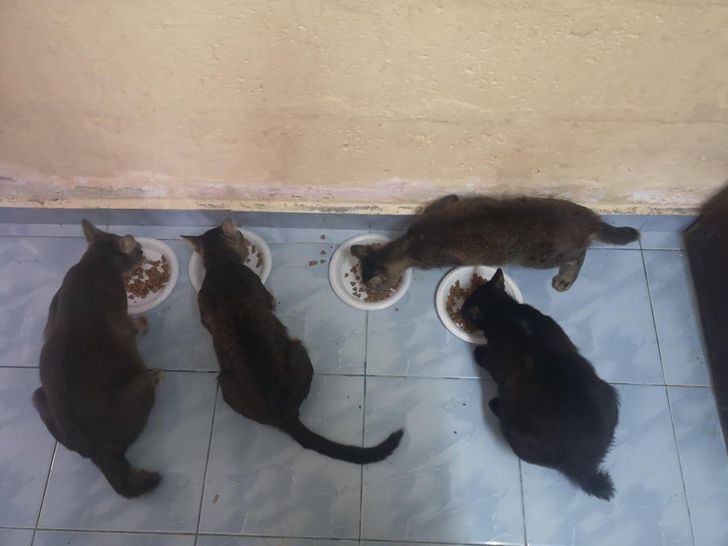 a30da25e6892a094a5f294c798